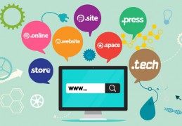 域名對于互聯(lián)網(wǎng)來說是很重要的 如何查詢域名注冊？